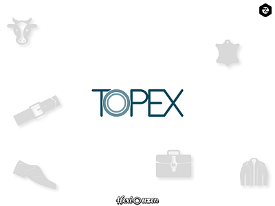 Logo Design - Topex