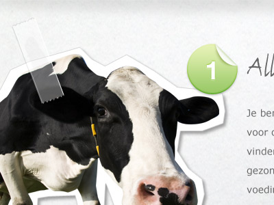 Cow and tape + free PSD badge cow sticky tape
