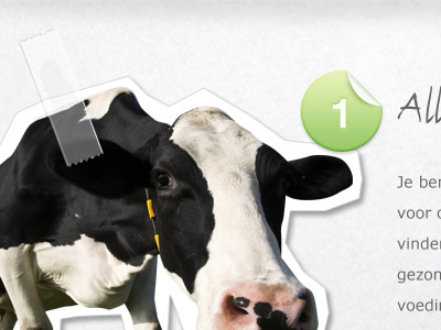 Cow and tape + free PSD