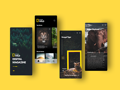 National Geographic Magazine app 3d animation app branding design graphic design logo motion graphics netgeo ui