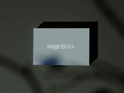 Sage&Co. unused option ampersand branding design graphic design identity identity design logo type typography