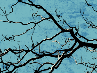 Sideways Branch Sketch digital process sketch