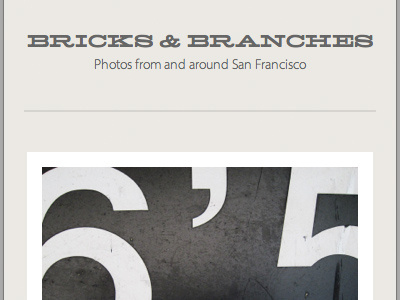 Bricks & Branches live photos responsive san francisco