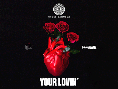 Your Lovin' | Social video heart lovin music single social steel banglez