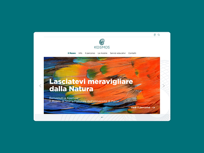 Kosmos animals design graphic design gray green home homepage italy museum pavia ui ux web web site