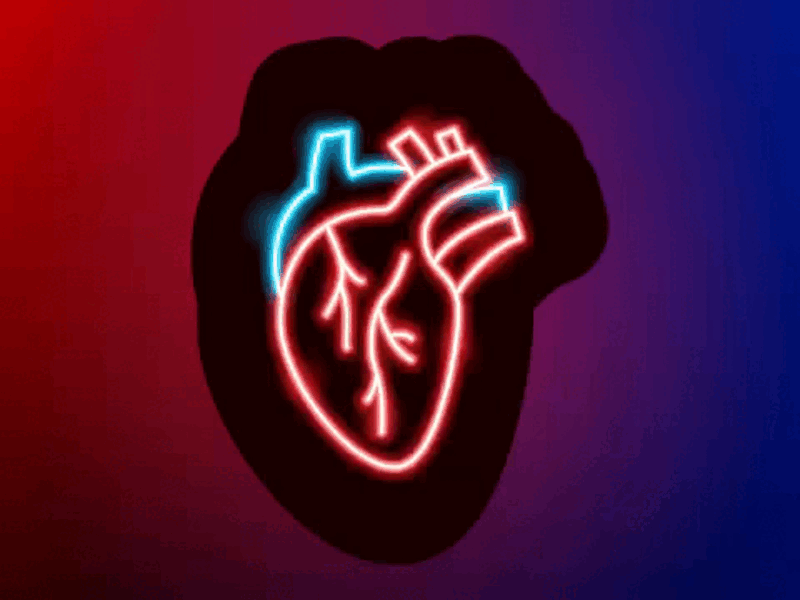 Neon heart beating anatomy animation beat blood design gif glitch heart heart beat human body illustration love motion motion design motion graphics neon procreate vector