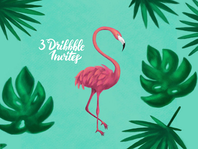 3 Dribbble Invites dribbble dribbble invite dribbbleinvite flamingo illustration invite pink pink flamingo summer tropical
