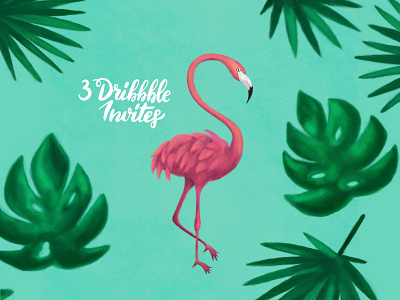 3 Dribbble Invites