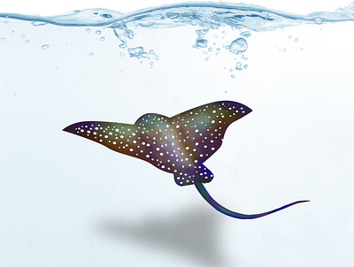 Stingray animal design graphic design illustration ocean sea stingray