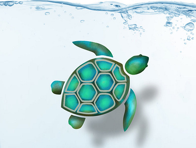Turtle animal design graphic design greenturtle illustration ocean sea turtle