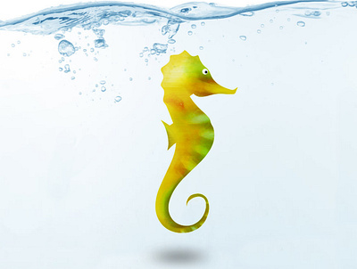 Seahorse animal design graphic design illustration ocean sea seahorse underwater