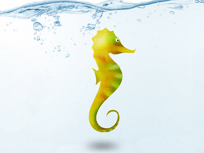 Seahorse