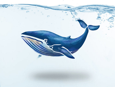 Blue whale animal bluewhale design graphic design illustration ocean sea underwater whale