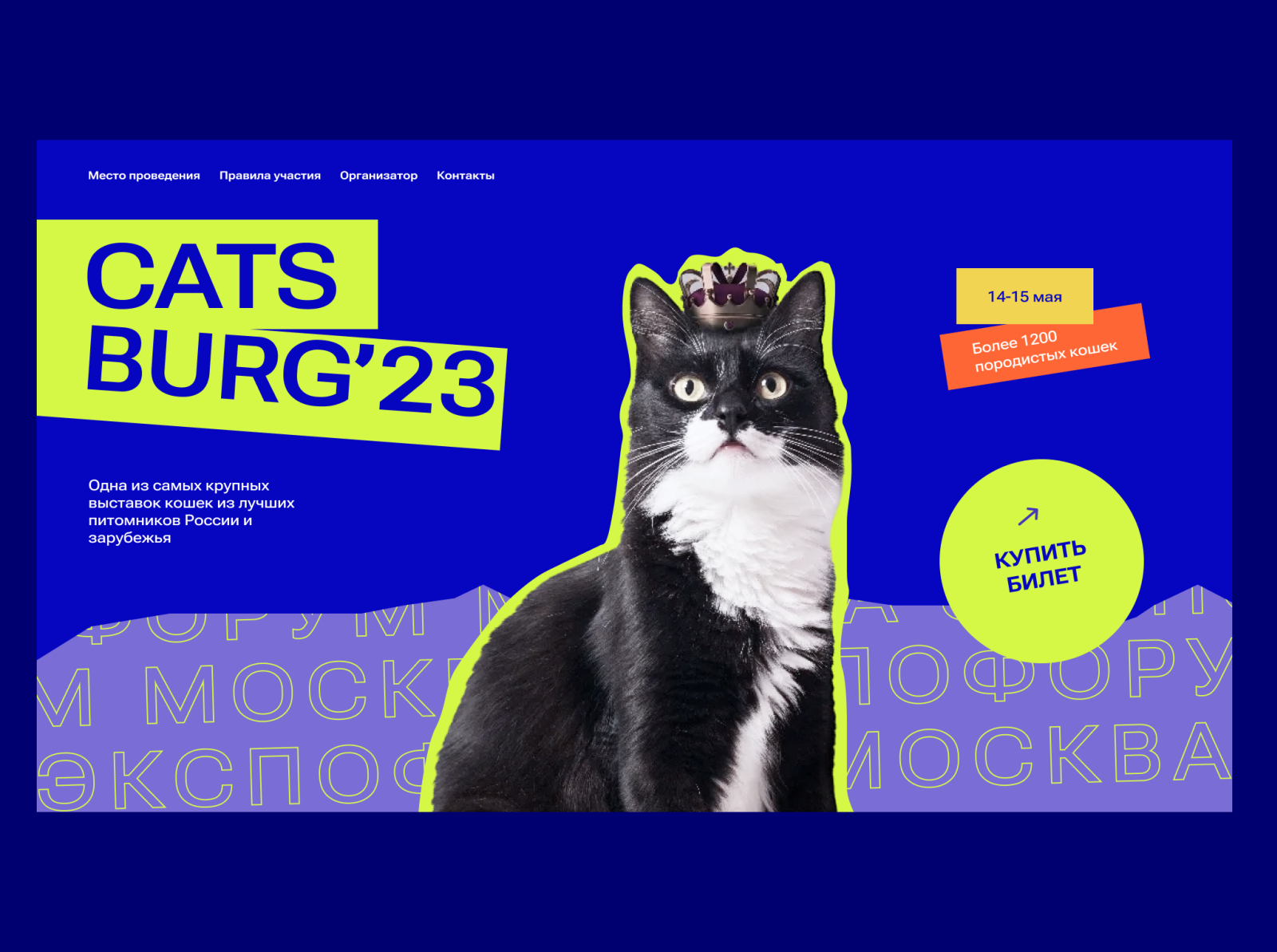 Cats exhibition concept #1 by Alexander Korol on Dribbble