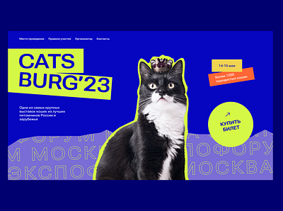 Cats exhibition concept #1 branding cats design graphic design illustration photoshop typography ui