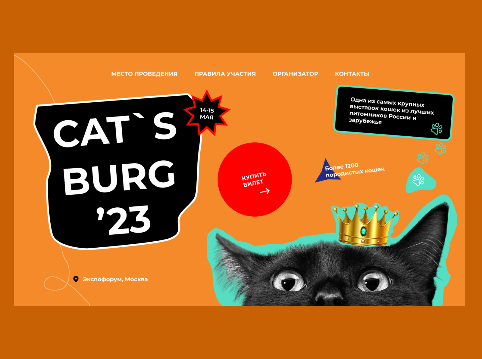 Cats exhibition concept #2 by Alexander Korol on Dribbble