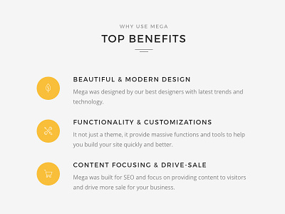 Client interest benefits benefit feature theme wordpress