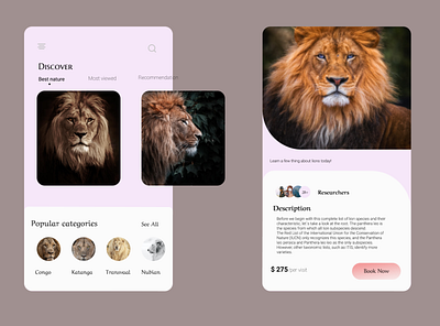 Lions (Panthera Leo). app design ui ux
