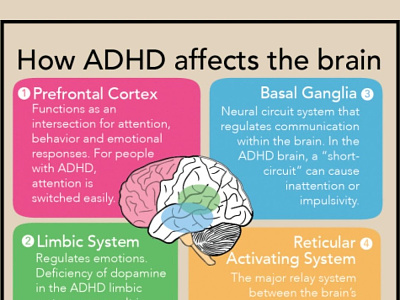 Hadar Swersky- How ADHD affects the brain adhd author entrepreneur hadar swersky hadarswersky investor