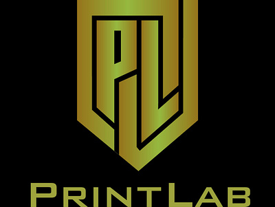 Print Lab 2