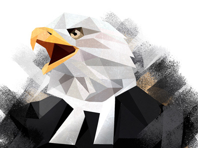 eagle digitalart digitalillustration eagle ichet illustration