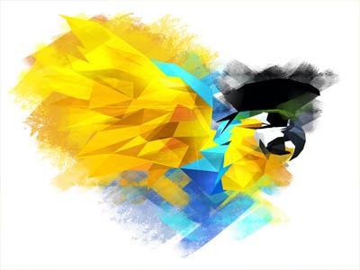 Parrot bird ichet illustration parrot polygonal ‎‎illustrationtrend‬ ‪artist‬ ‪art‬ ‪digitalpainting‬ ‪draw‬ ‪paint‬ digitalart‬