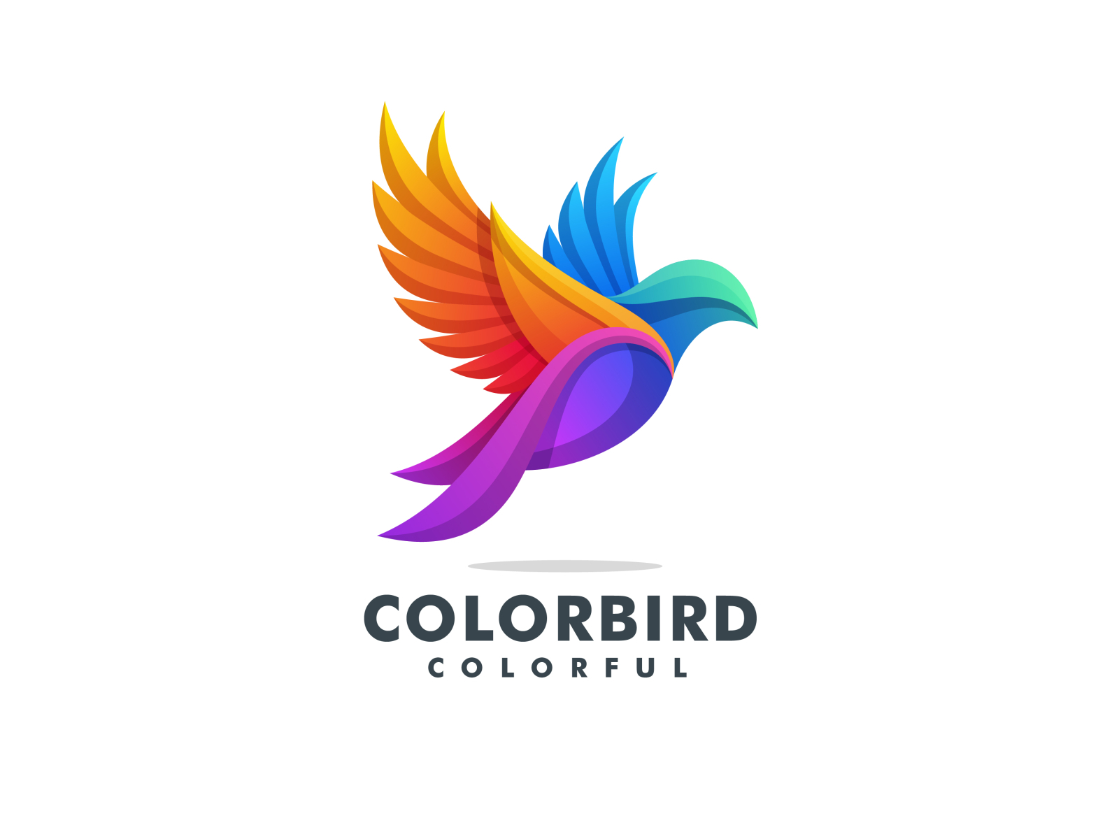 Logo Colorbird by Milagro on Dribbble