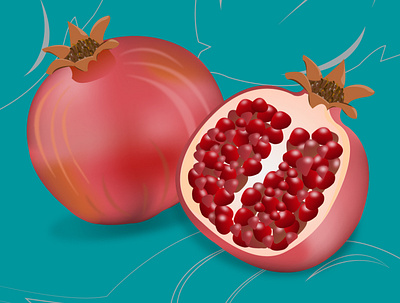 Pomegranate design graphic design illustration vector
