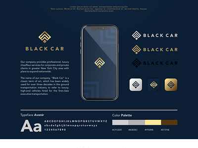 Logo Design & Branding for Black Car app branding design graphic design icon logo ui ux vector