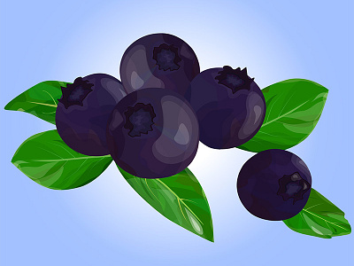 Blueberries