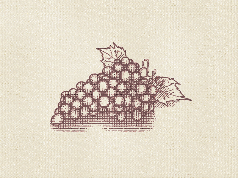 Grapes Gif dots flash fruit grapes hatching illustration lines