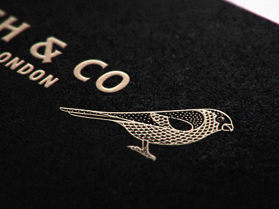 Bird Mockup bird engraving etching logo