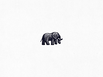 Elephant animal elephant engraving etching logo