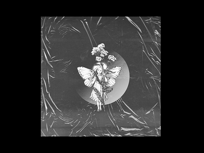 YARROW FAIRY x LACHUTE abstract album album art album artwork album cover album cover design art art direction artwork black design fairy flower gradiant illustration lachute light photoshop scan white