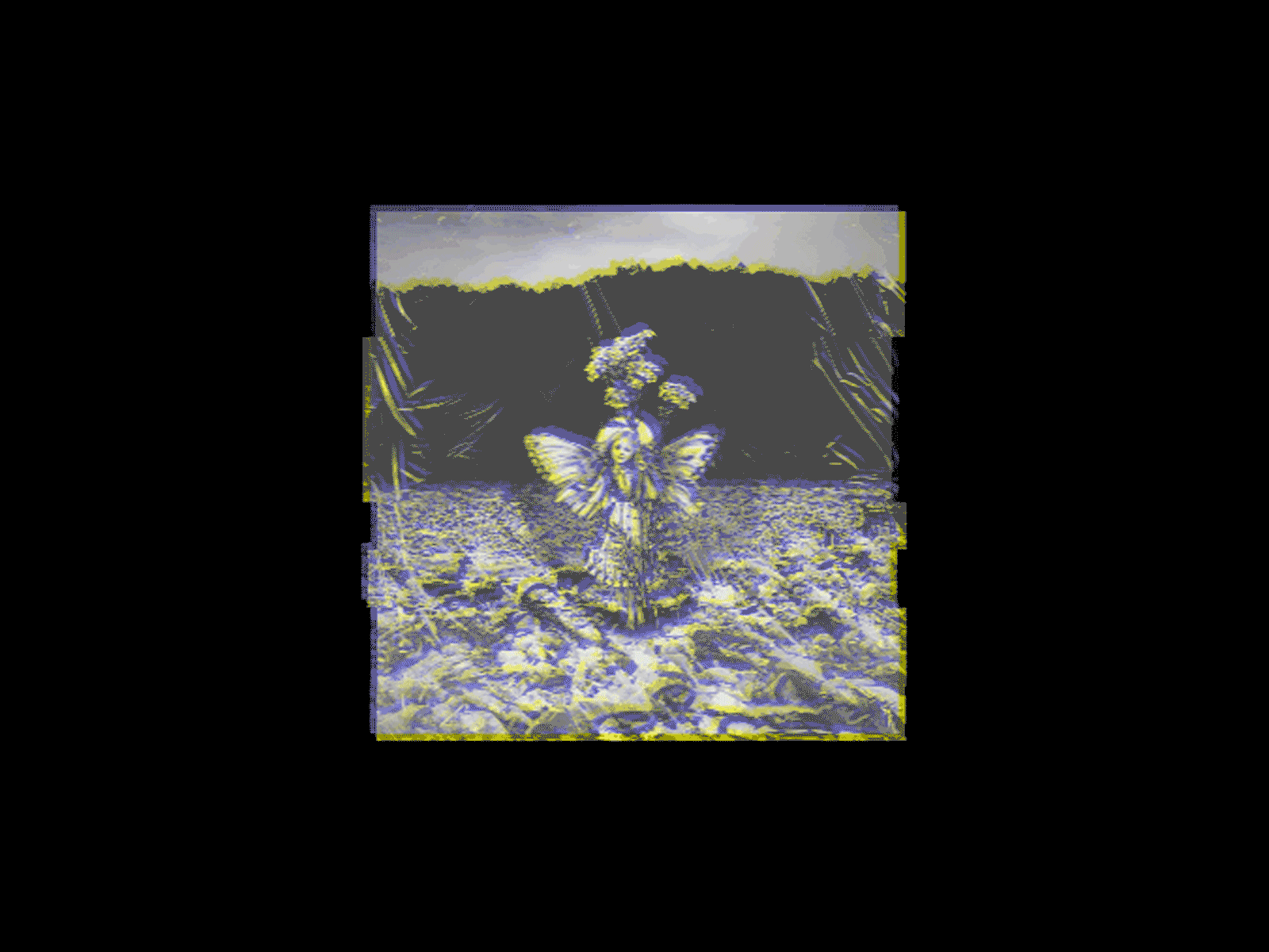 YARROW FAIRY II x LACHUTE abstract album album art album artwork album cover album cover design art art direction artwork blackandwhite color design fairy glitch illustration lachute light photoshop