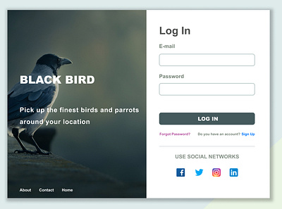 Black Bird Login Page design login page