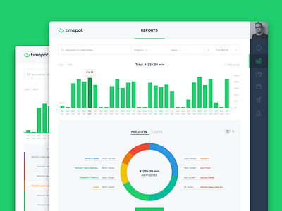 Timepot - Reports 📊 graph report saas startup time tracking ui ux