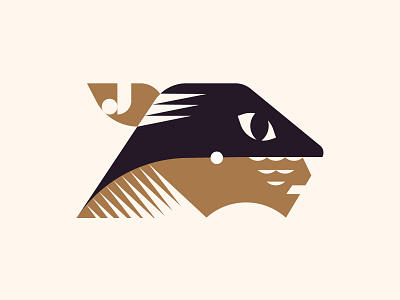 Jaguar for "J" animal branding cat geometic geometric geometry icon illustration jaguar letter j mark modern predator symbol