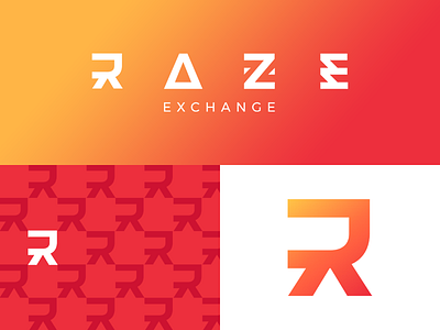 Log design for RAZE