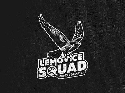 Lemovice Squad club cycling design falcon limoges logo peregrine