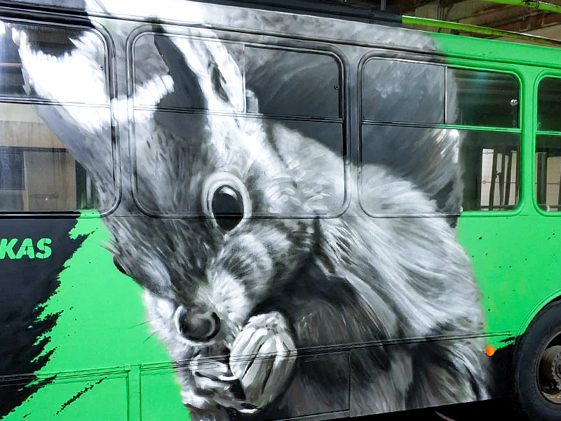 Squirrel spraypainting trolleybus kaunas plugas