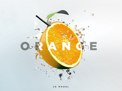 Orange - 3D Model