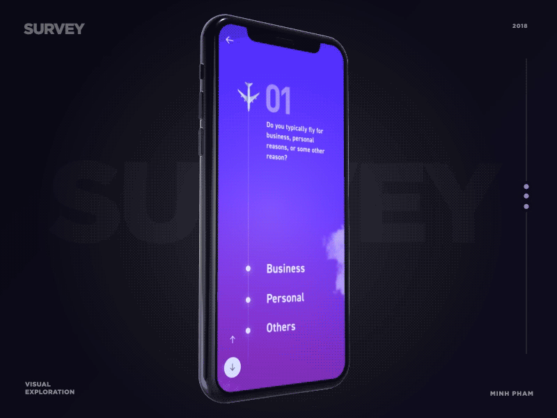 Airlines Survey animation app graphic illustration interaction mobile motion ui ux vietnam