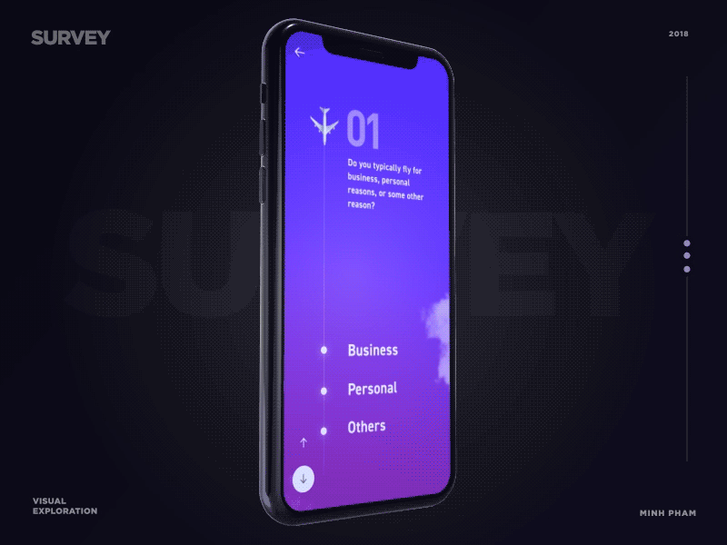 Airlines Survey graphic illustration app interaction ux mobile motion animation ui vietnam