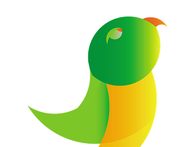Bird logo bird logo graphic design illustration logo vector