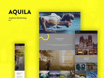 UX, UI Design & DEV for Aquila Ltd.