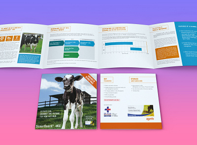 BROCHURE DESIGN FOR LIVESTOCK PRODUCT about page standee