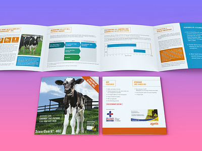 BROCHURE DESIGN FOR LIVESTOCK PRODUCT