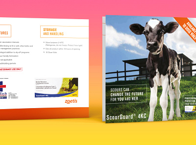 CATTLE BROCHURE DESIGN about page