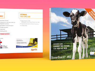 CATTLE BROCHURE DESIGN